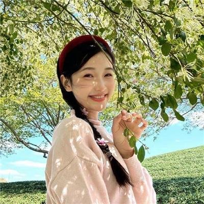 百鸟朝凤